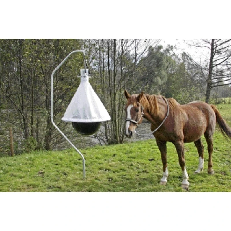 DAZENVAL TAONX, COMPLEET 1 DAZENVAL TAONX, COMPLEET