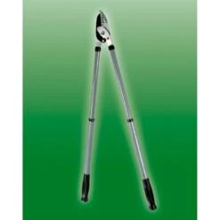 Talen Tools Takkenschaar Voorbijsnijdend, Telescopisch