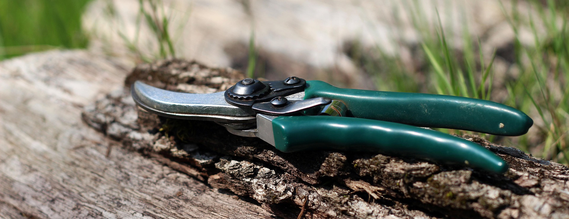 Tuingereedschap 3 Tuingereedschap -Tuingereedschap shears 1336374 1920